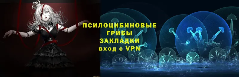 закладка  Барнаул  Галлюциногенные грибы мухоморы 